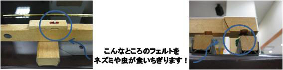 ネズミのいる家は要チュー意！？